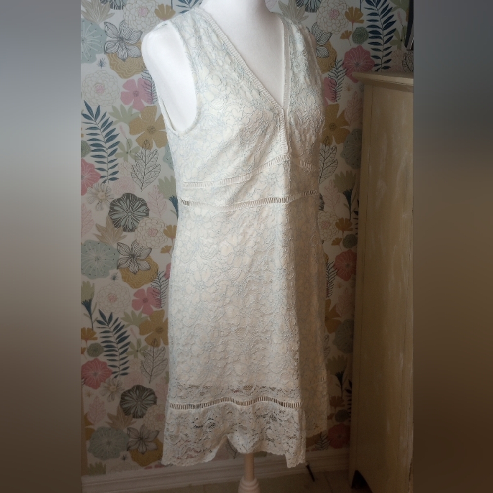 Altard State lace look slip dress Size L - Picture 7 of 9